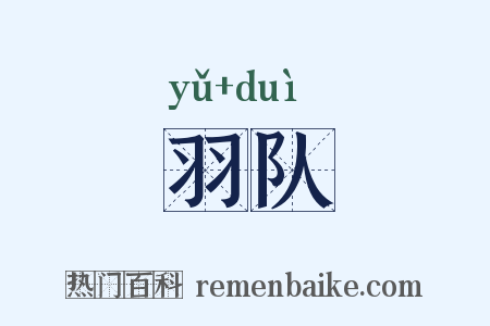 羽队是什么意思的图片
